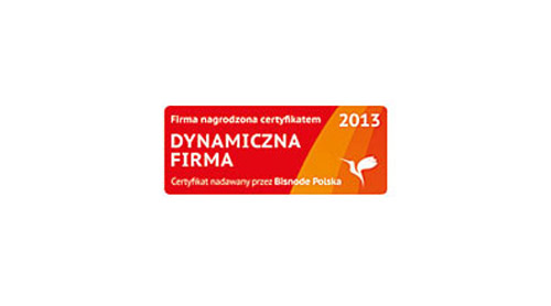 Dynamiczna firma 2013