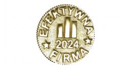 efektywna firma 2024 emblemat