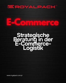 Strategische Beratung in der E-Commerce-Logistik